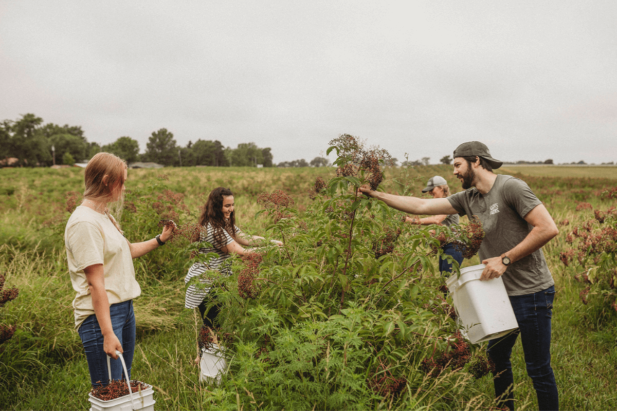 A Legacy of Sustainable Agriculture at Norm’s Farms