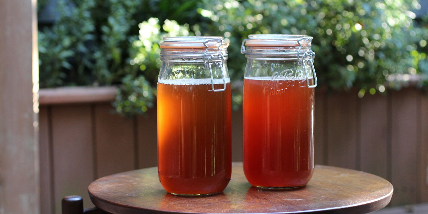 How to Make Your Own Elderberry Wellness Kombucha