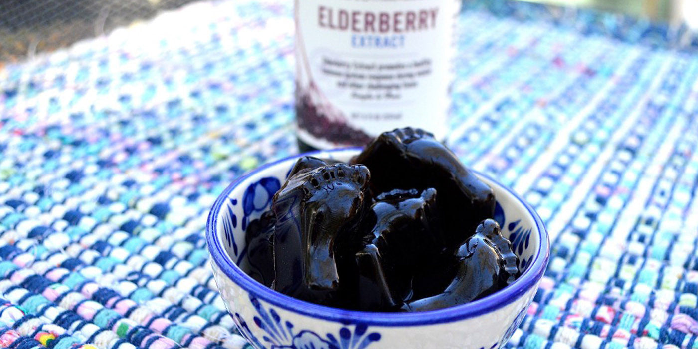 Elderberry Gummies