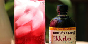 Elderberry Spritzer