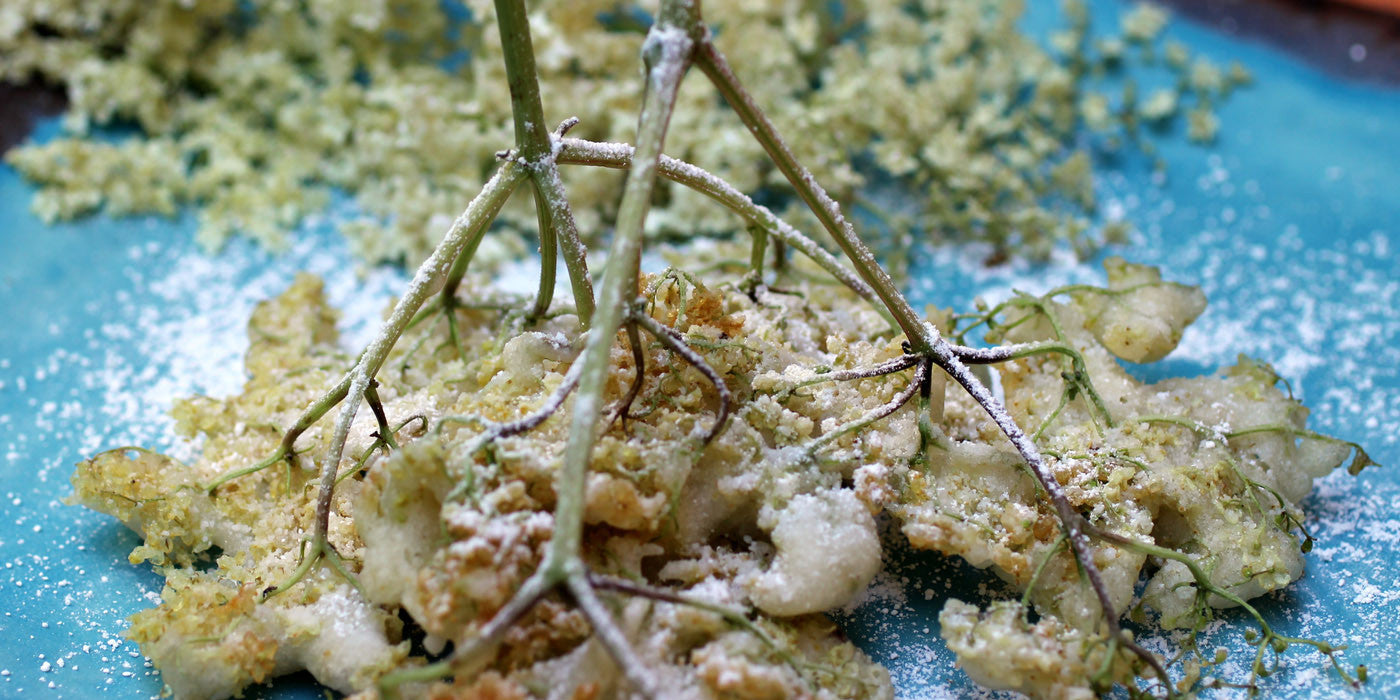 Elderflower Fritters