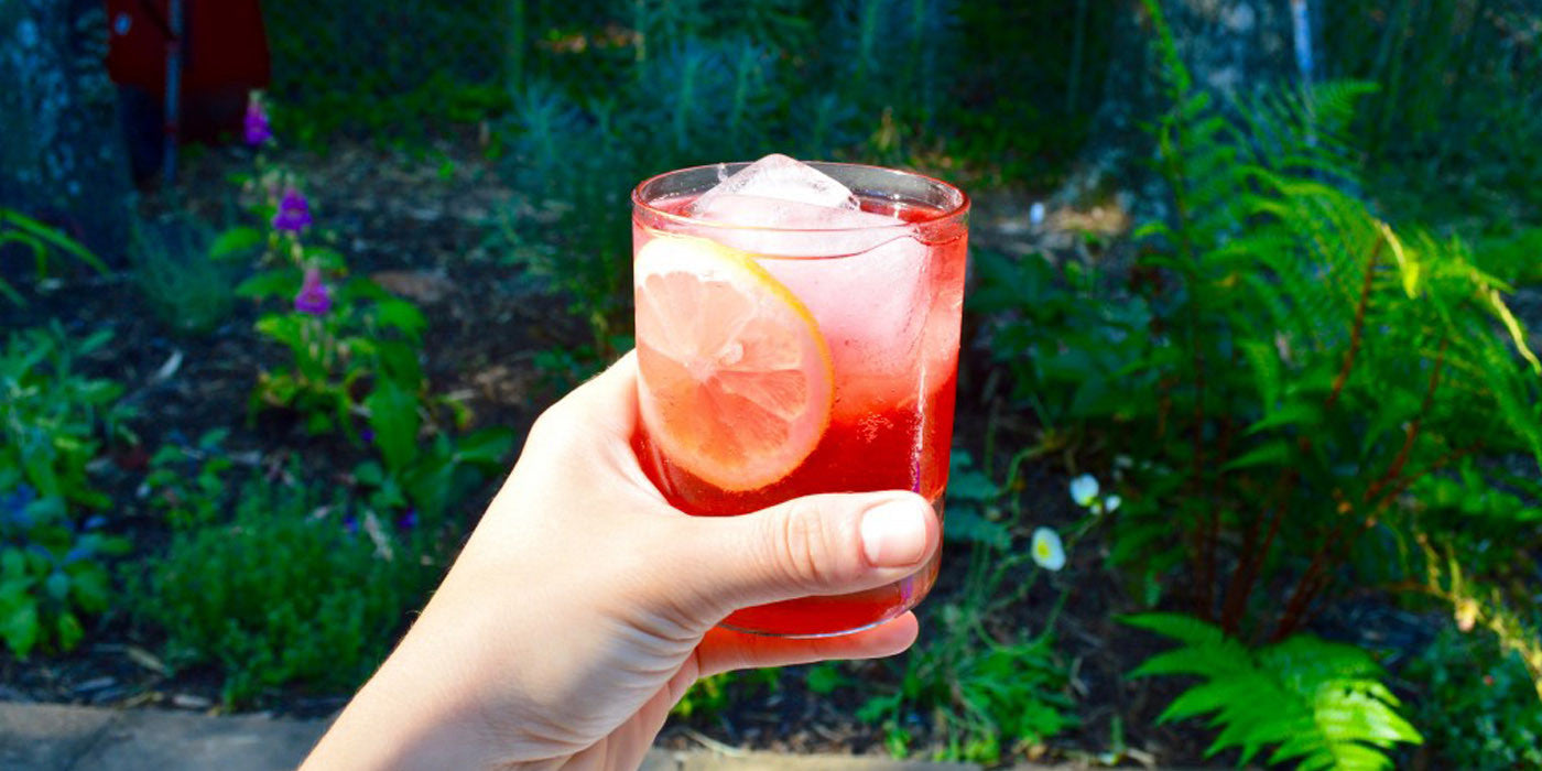 Lacto-fermented Probiotic Black Elderberry Lemonade Soda