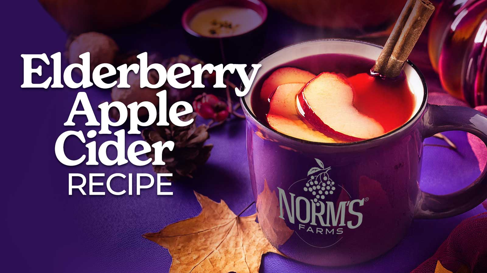 Elderberry Apple Cider Recipe